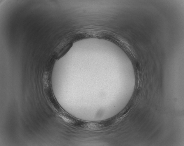 X0000081590121200702121524