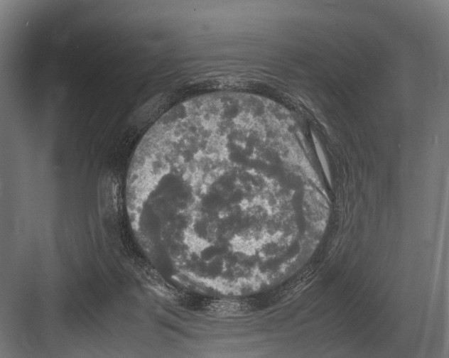 X0000081590123200702121524