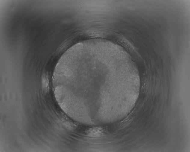 X0000081590124200702121524