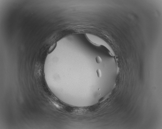 X0000081590125200702121524