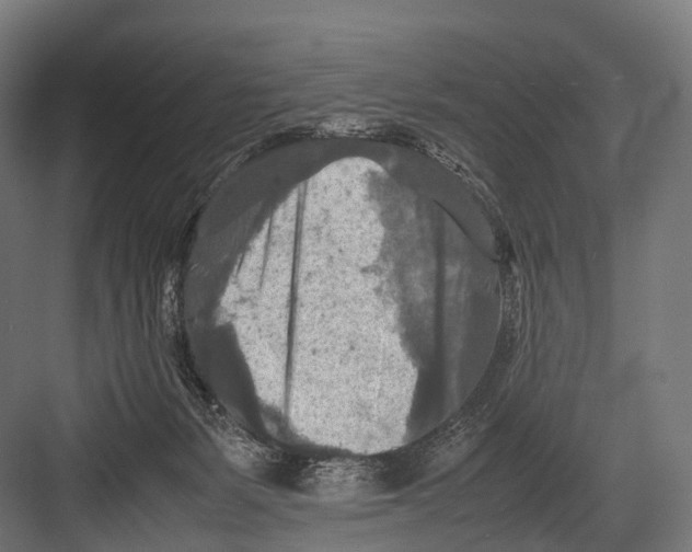 X0000081590127200702121524