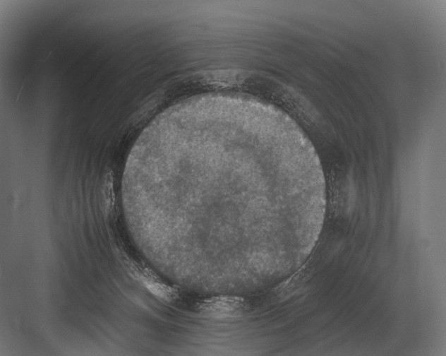 X0000081590128200702121524