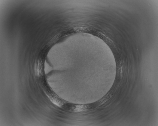 X0000081590130200702121524