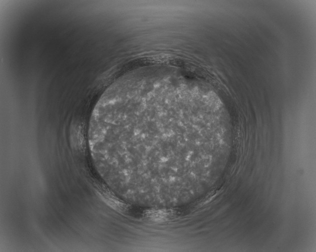 X0000081590131200702121524