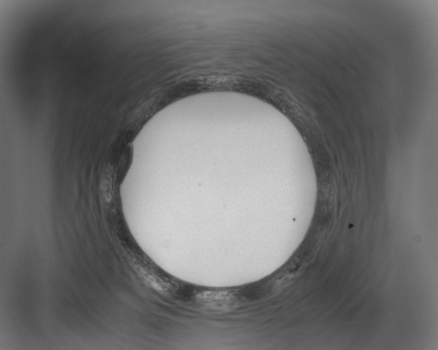 X0000081590133200702121524