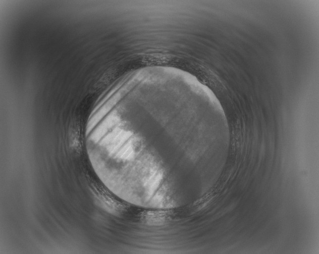 X0000081590134200702121524