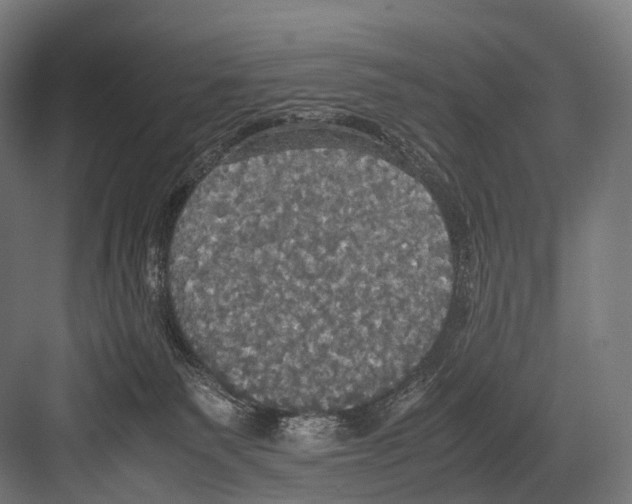 X0000081590135200702121524