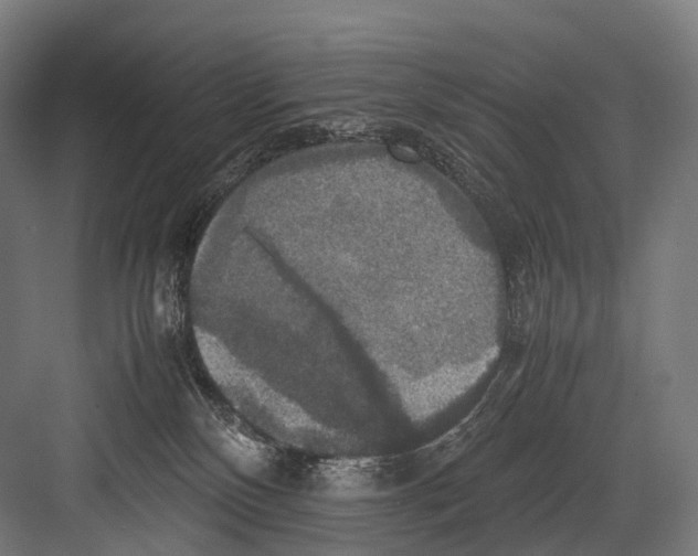 X0000081590136200702121524