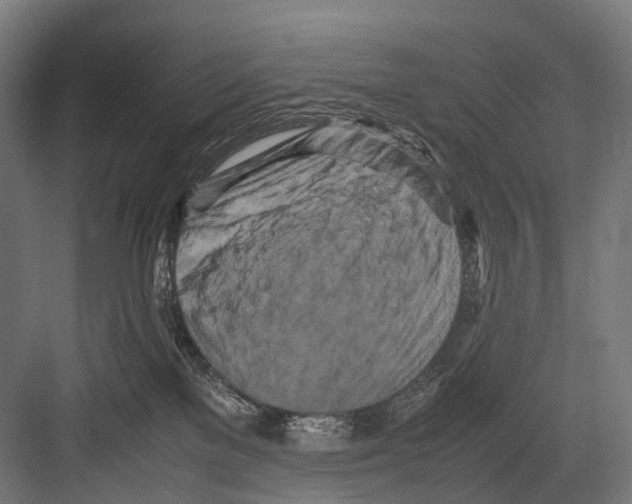 X0000081590137200702121524