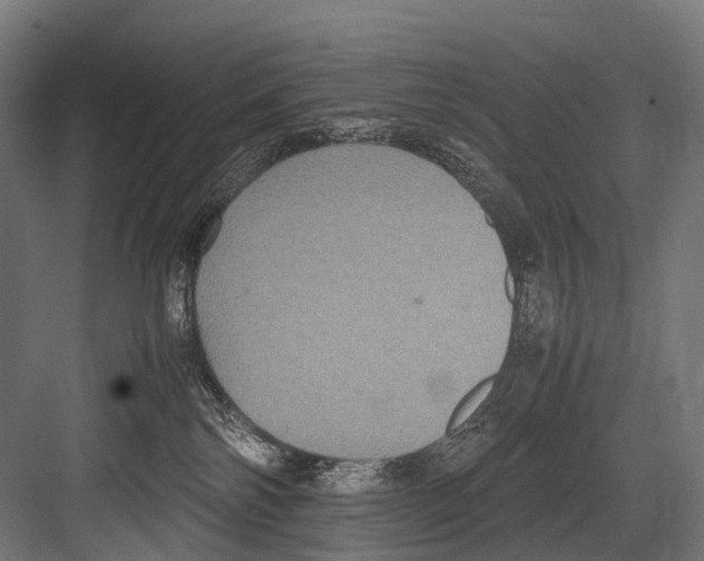 X0000081590138200702121524