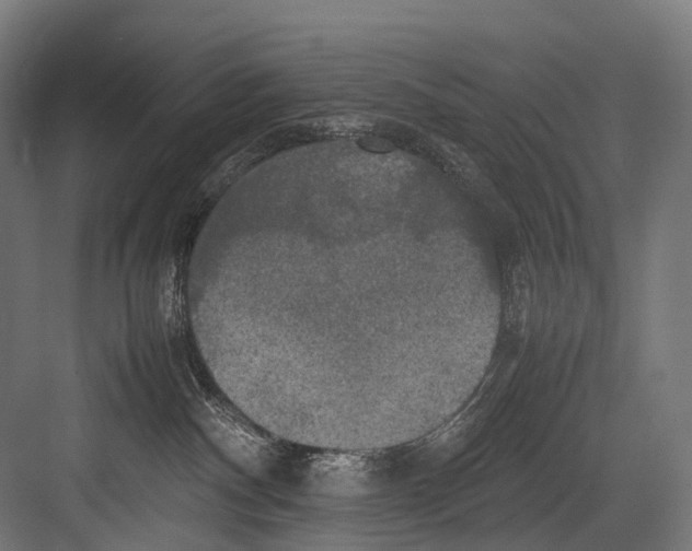 X0000081590140200702121524