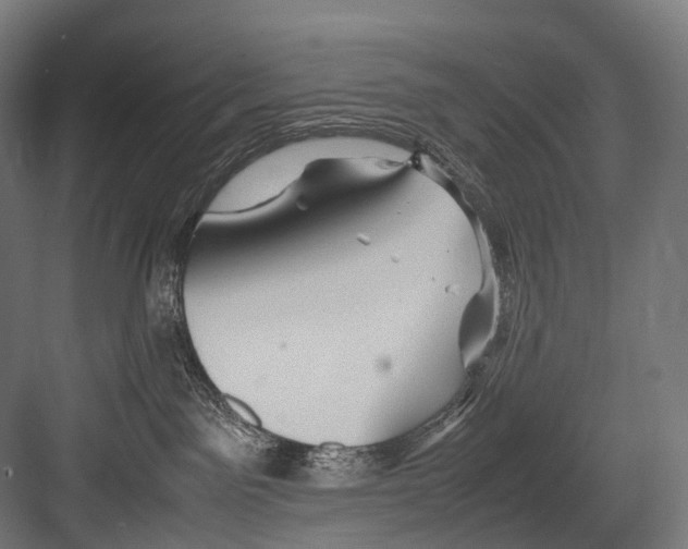 X0000081590141200702121524