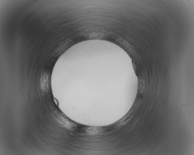 X0000081590142200702121524