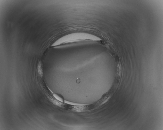 X0000081590143200702121524