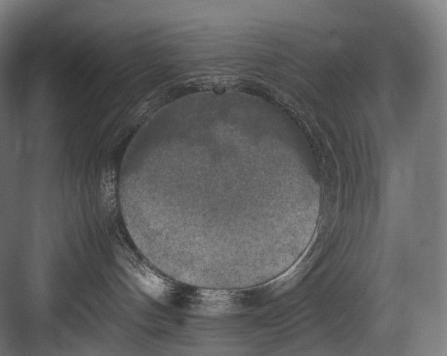 X0000081590144200702121524