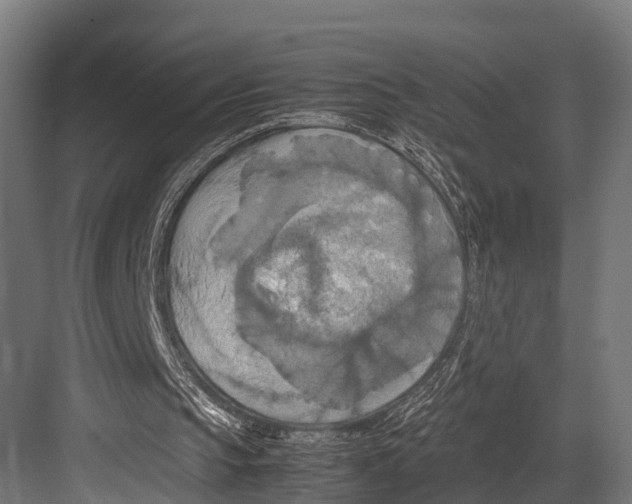 X0000081590145200702121523