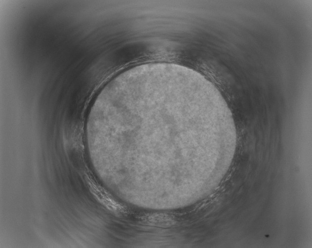 X0000081590146200702121523