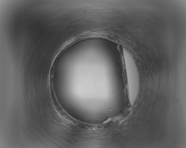 X0000081590148200702121523