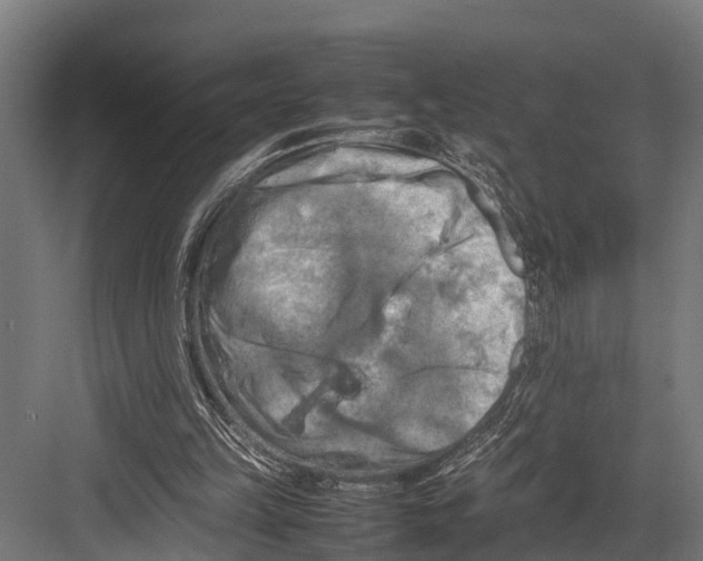 X0000081590149200702121523