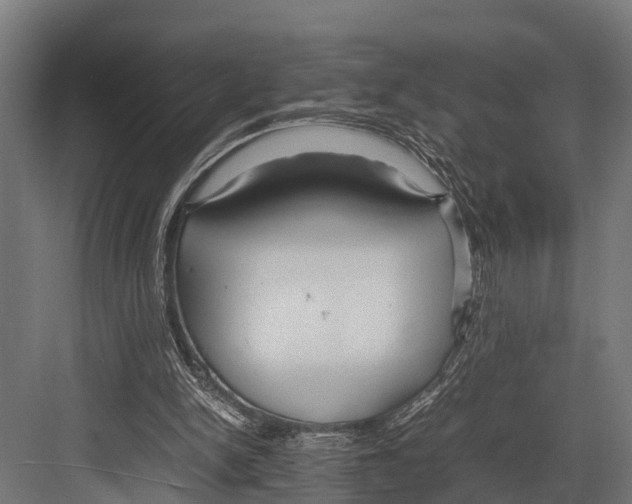 X0000081590150200702121523