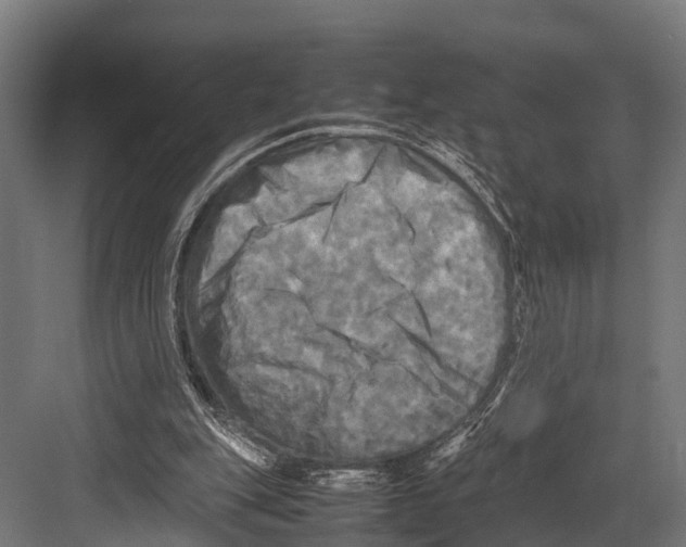 X0000081590151200702121523