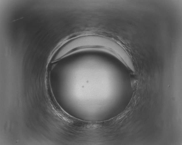 X0000081590152200702121523