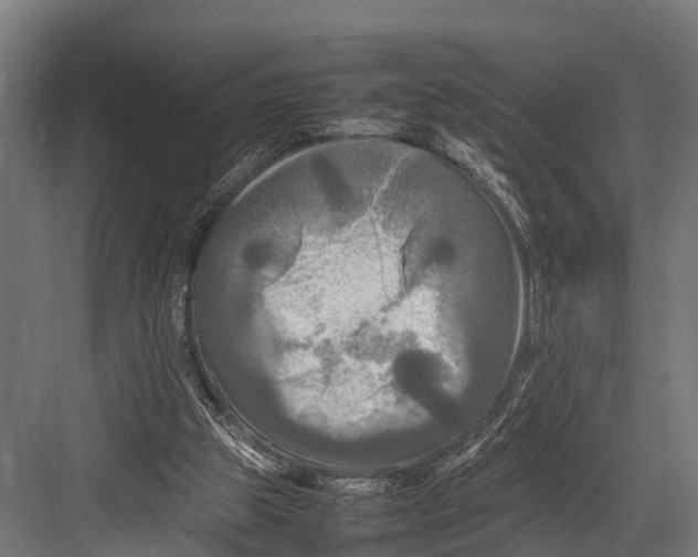 X0000081590153200702121523