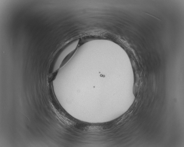 X0000081590154200702121523