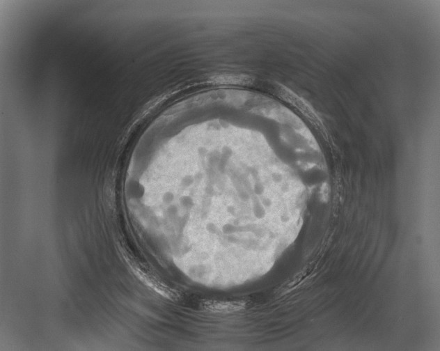 X0000081590155200702121523