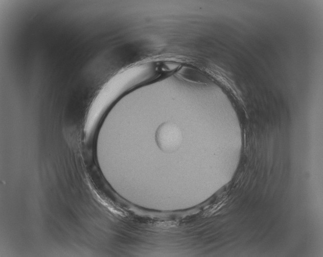 X0000081590156200702121523