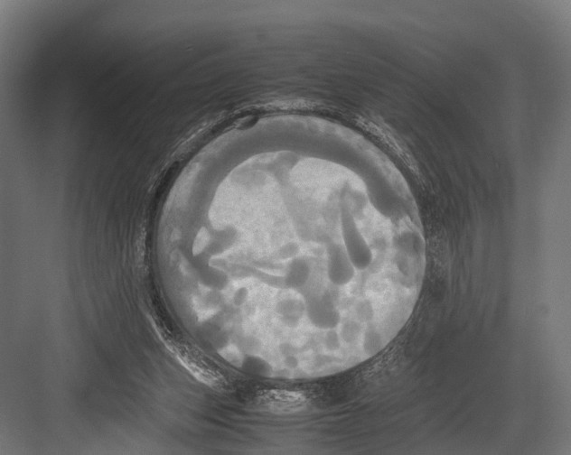 X0000081590159200702121523