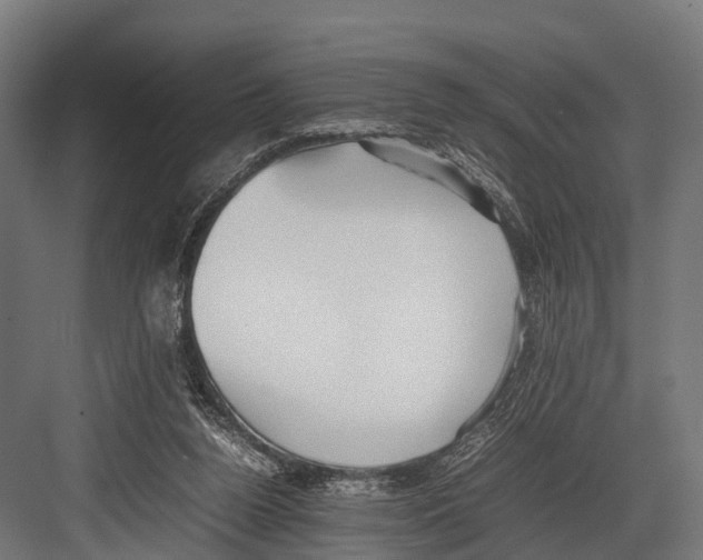 X0000081590160200702121523