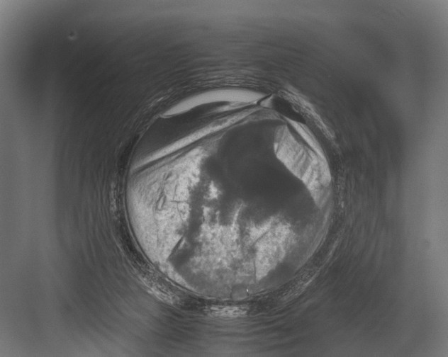 X0000081590161200702121523