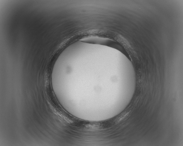 X0000081590164200702121523