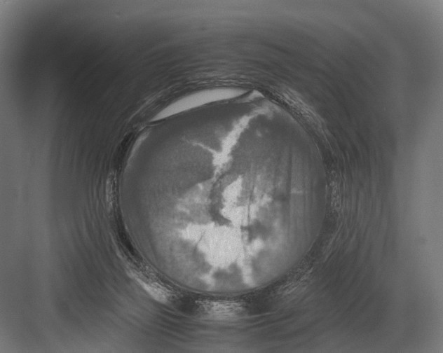 X0000081590165200702121523