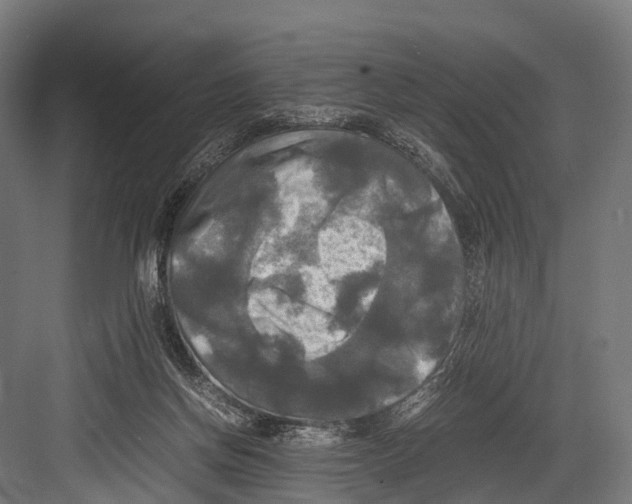 X0000081590166200702121523