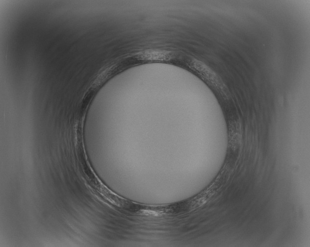 X0000081590167200702121523