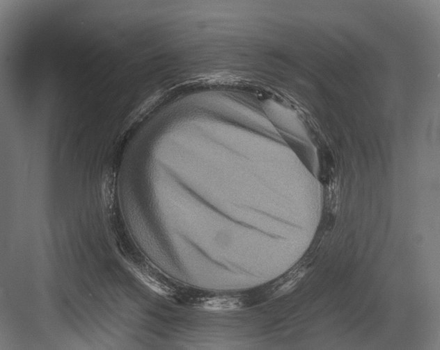 X0000081590168200702121523