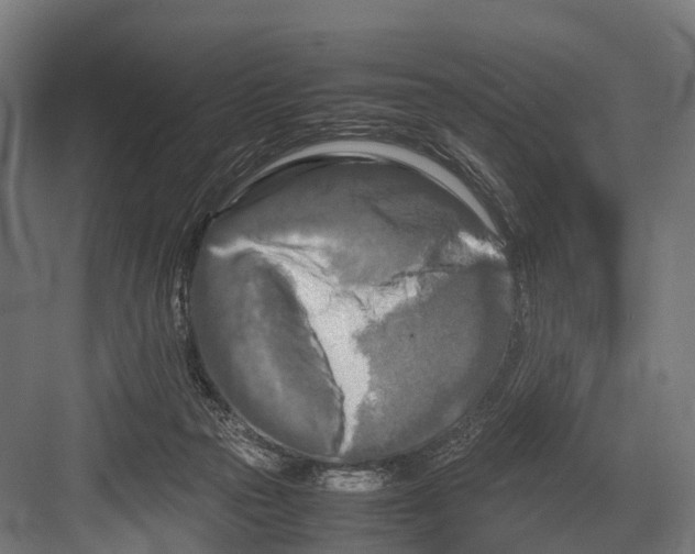 X0000081590169200702121523