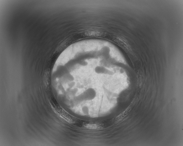 X0000081590171200702121523