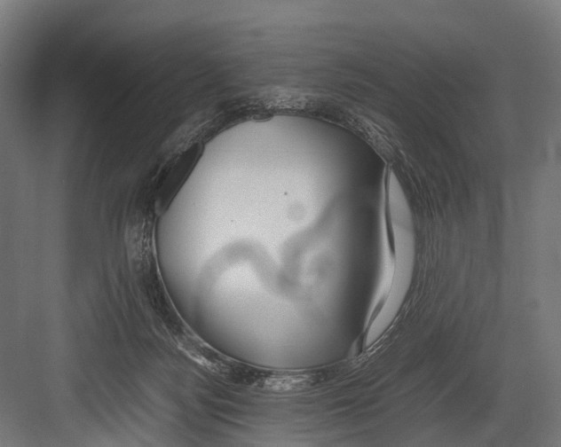 X0000081590172200702121523