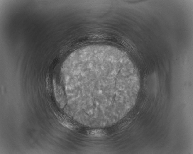 X0000081590173200702121523