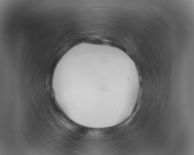 X0000081590174200702121523