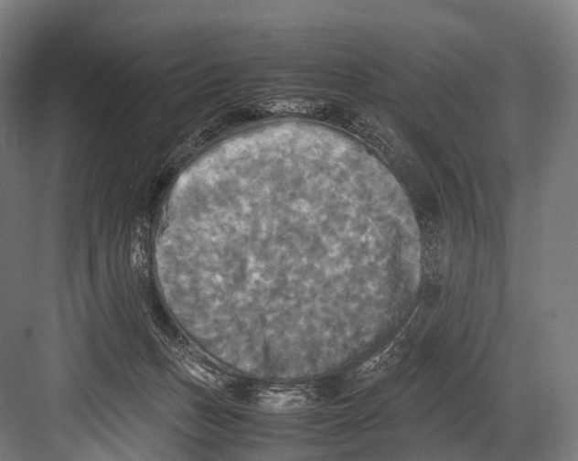 X0000081590175200702121523