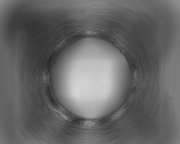 X0000081590176200702121523