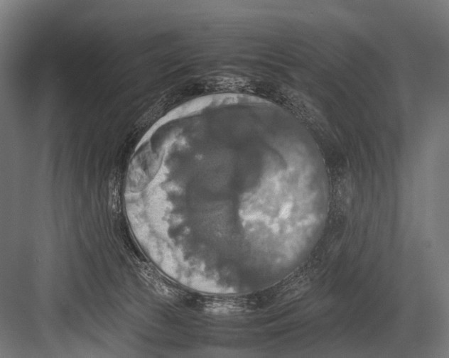 X0000081590177200702121523