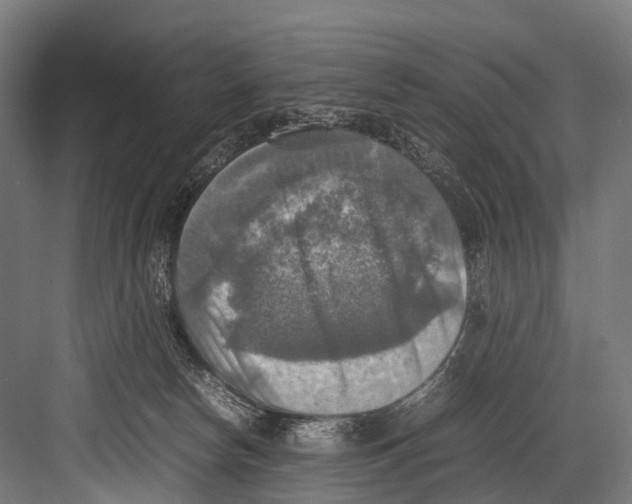 X0000081590178200702121523