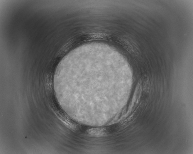 X0000081590179200702121523