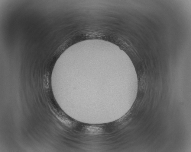 X0000081590183200702121523