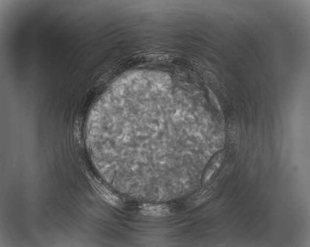 X0000081590185200702121523